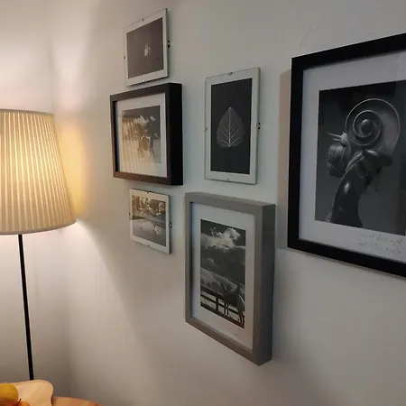 Apartmán Business Apartment Andrei Muresanu - Parcare & Wifi Kluž