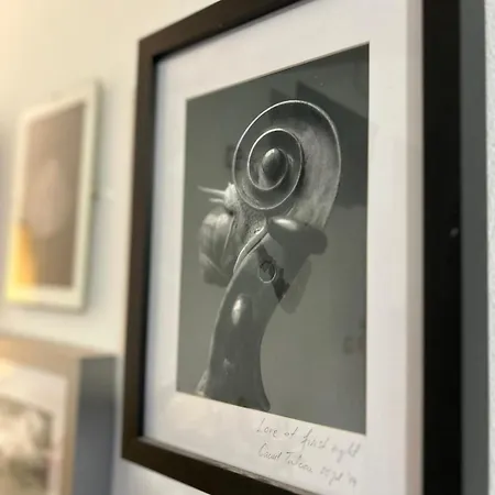 Cluj City Classic Rooms 클루지나포카