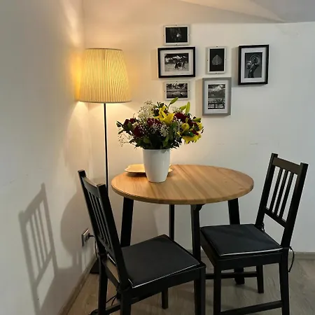 Business Apartment Andrei Muresanu - Parcare & Wifi * Kluž