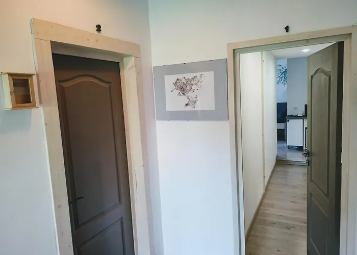 Business Apartment Andrei Muresanu - Parcare & Wifi * Kluž