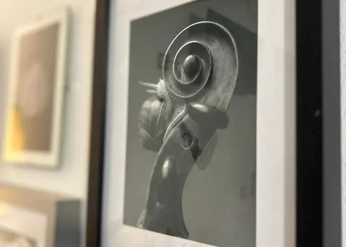 Cluj City Classic Rooms 클루지나포카