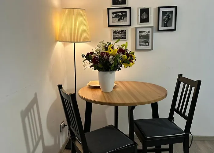 Business Apartment Andrei Muresanu - Parcare & Wifi * Kluž