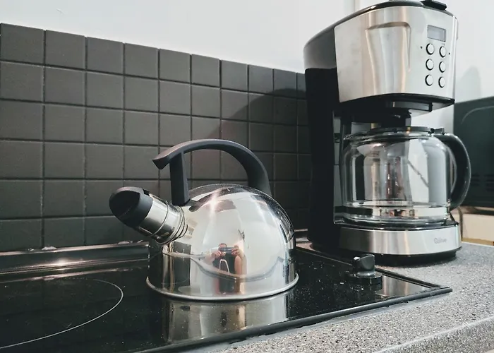 Apartmán Business Apartment Andrei Muresanu - Parcare & Wifi *